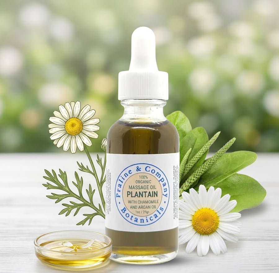 Plantain Massage Oil for Relaxation