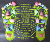 Reflexology Foot Massage Pad in green with colorful removable plastic massage stones and labeled acupoints for health care and pain relief.