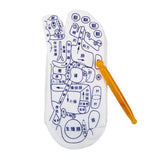 White cotton Massage Socks with blue acupressure reflexology diagrams and an orange massage stick tool shown on the sole.