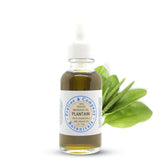 Plantain Massage Oil for Relaxation