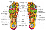 Wooden Foot Massage Roller for Acupoints and Legs